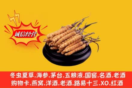 鸡西市麻山求购回收虫草多少钱每克